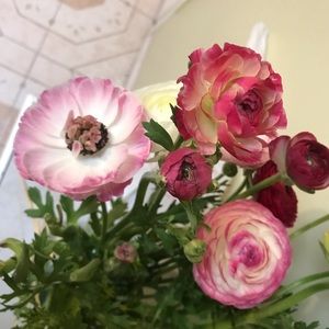 Meet your Posher, Maira